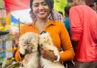 ஷாலு வின் லுக் ரசிகர்கள் நாக் அவுட்