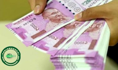 உங்கள் கையில் எப்போதும் பணம் புரள வேண்டுமா? இதை செய்யுங்க.